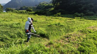 圃場整備