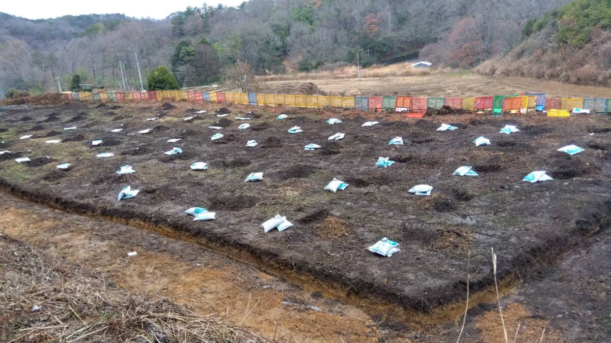 次圃場の植栽準備開始